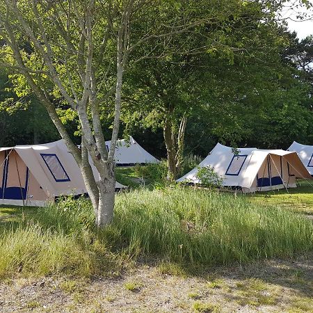 Ameland Tentenverhuur Atv Ballum Екстериор снимка